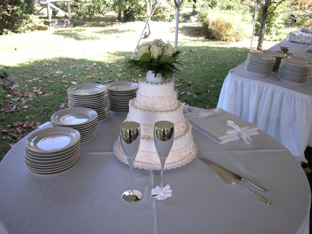 Wedding Cake for our $5000 Wedding Wedding Cake for our $5000 Wedding